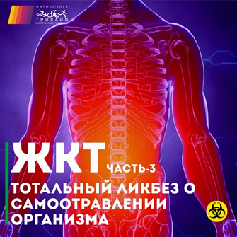 Блок лекций о ЖКТ. Часть 3